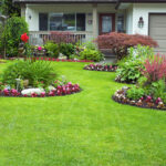 Landscaping – What to Consider Before Making Any Changes to Your Yard