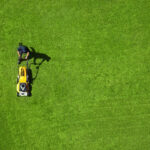 Lawn Care Tips